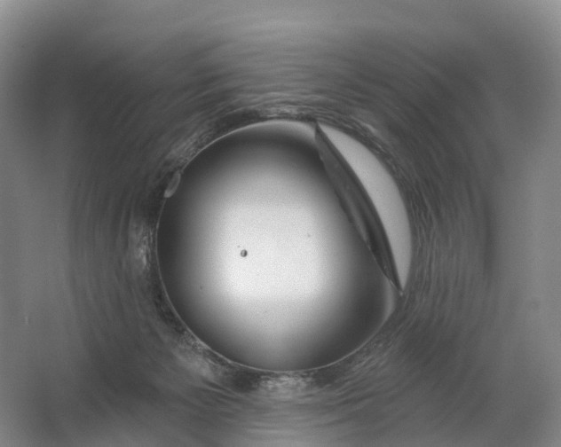 X0000064720125200602241654