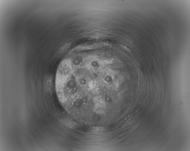 X0000064720127200602241654