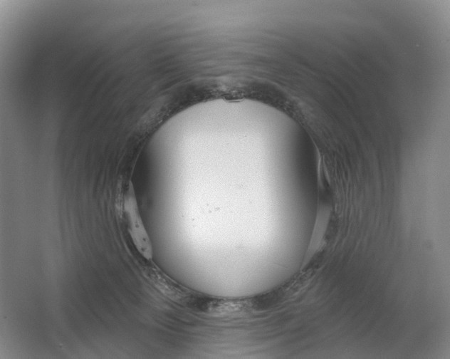 X0000064720129200602241654