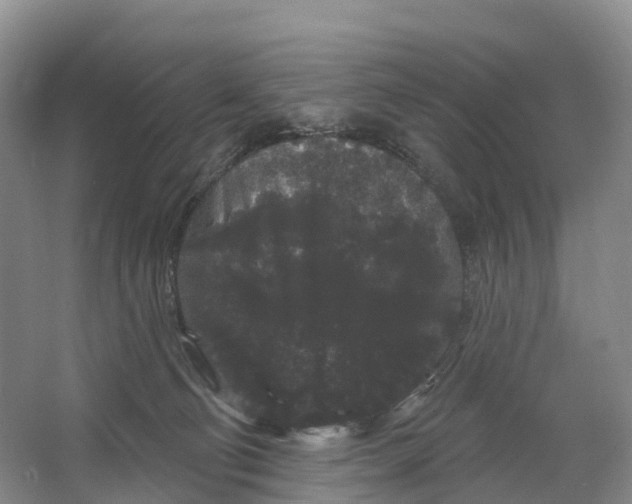 X0000064720130200602241654