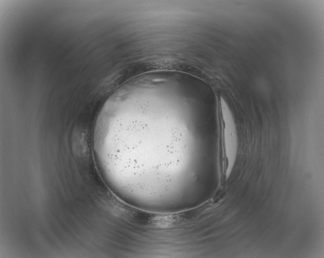X0000064720131200602241654