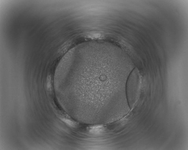 X0000064720132200602241654