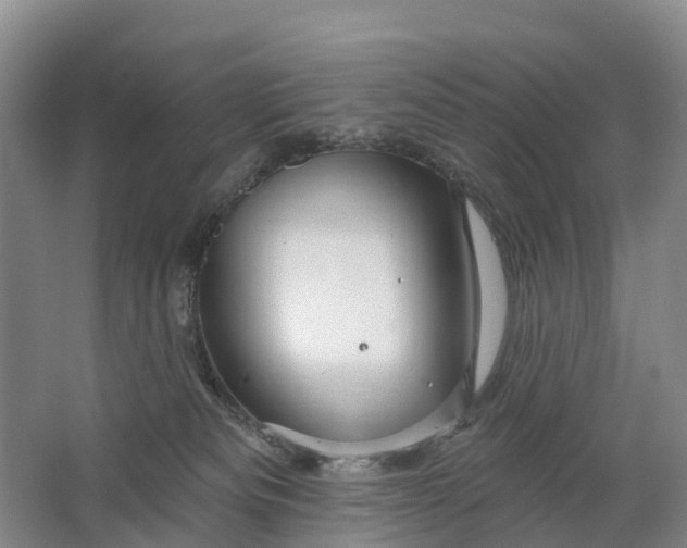 X0000064720133200602241654