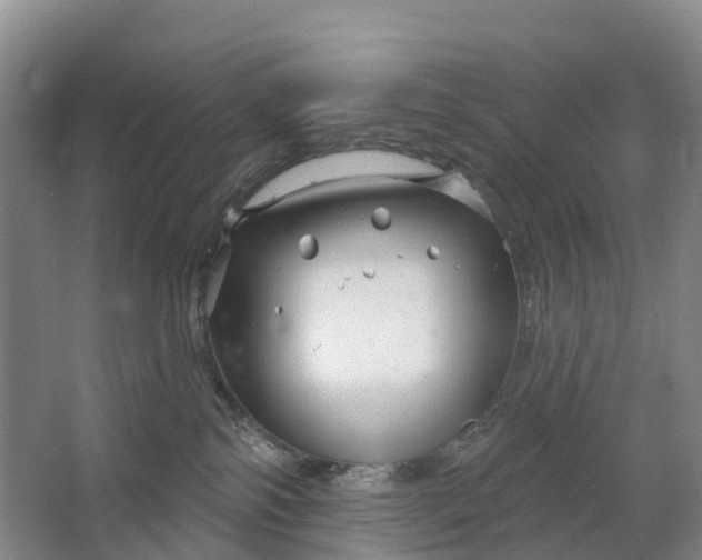 X0000064720138200602241654