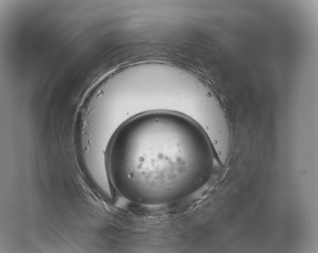 X0000064720146200602241652