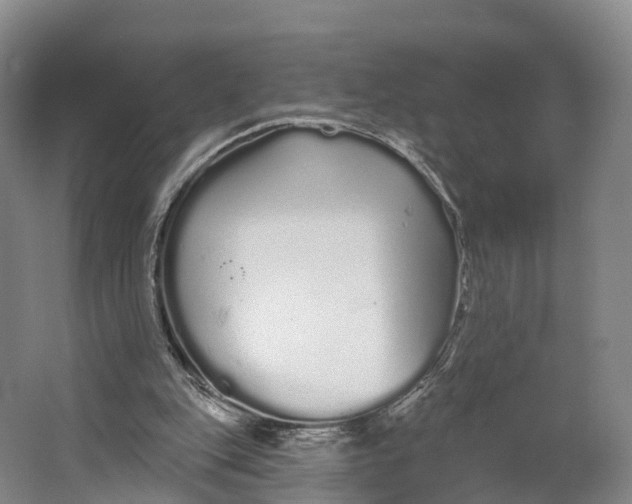 X0000064720151200602241653