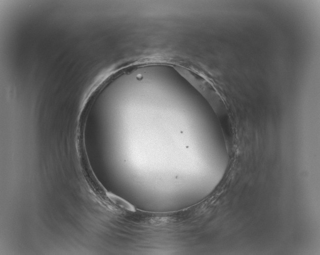 X0000064720152200602241653