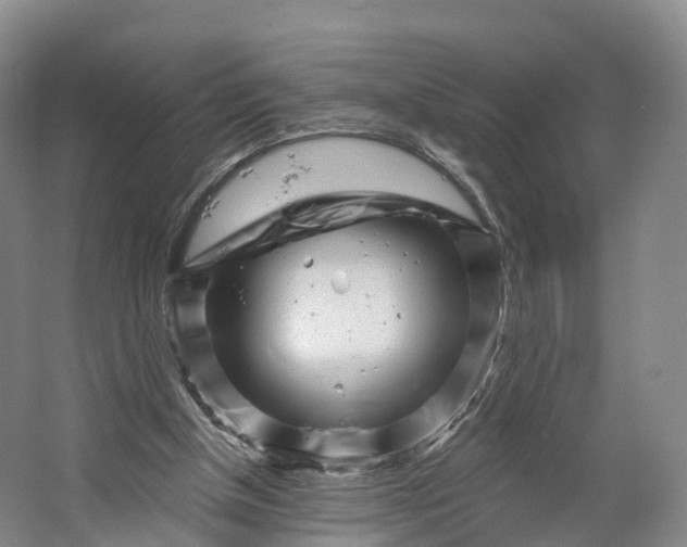X0000064720154200602241653
