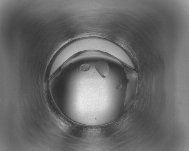 X0000064720156200602241653