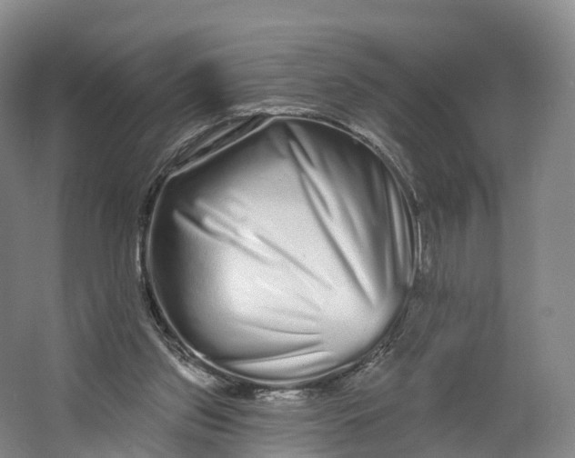 X0000064720157200602241653