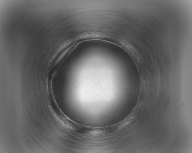 X0000064720158200602241653