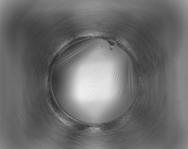 X0000064720159200602241653