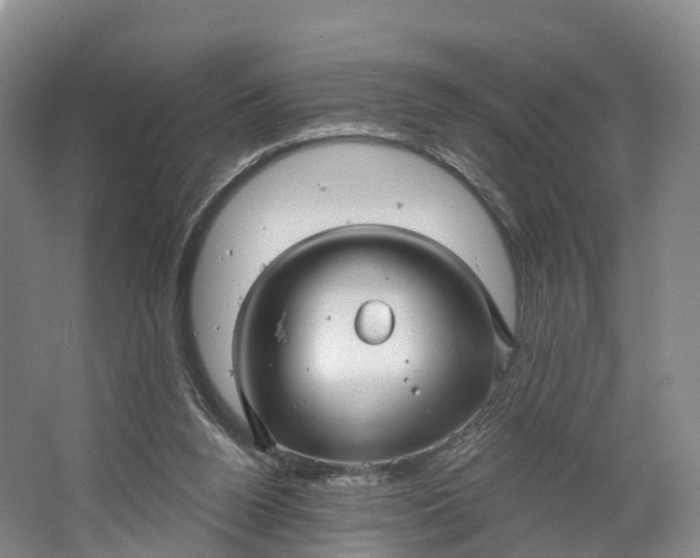 X0000064720160200602241653