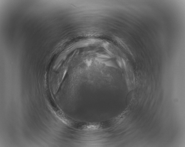 X0000064720163200602241653