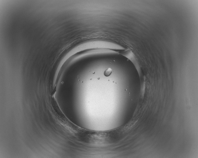 X0000064720164200602241653
