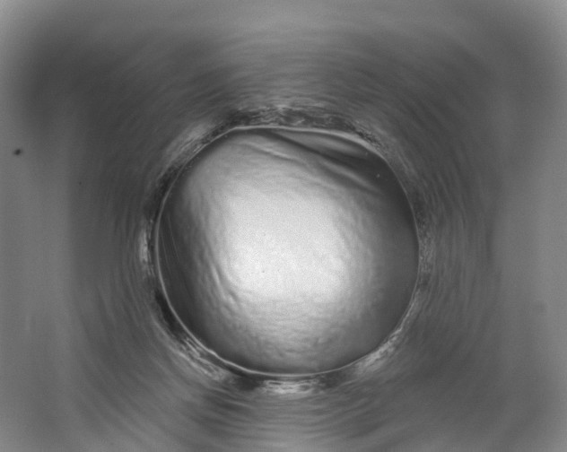 X0000064720166200602241653