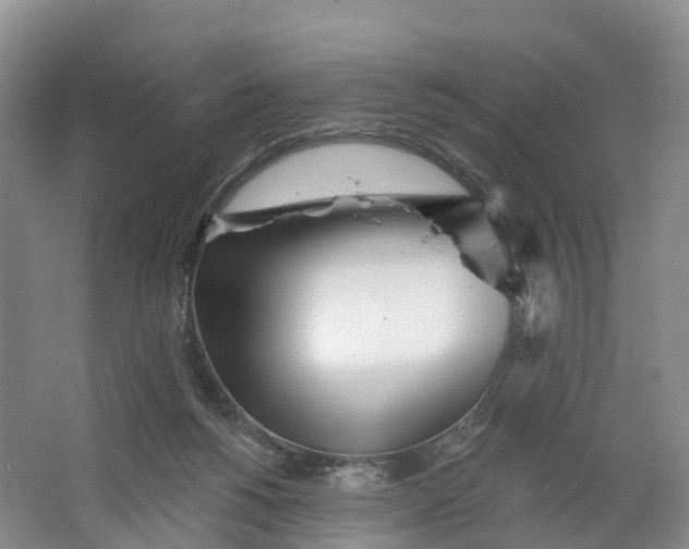 X0000064720168200602241653