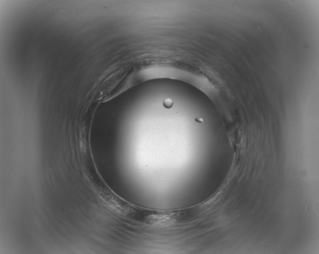 X0000064720170200602241653