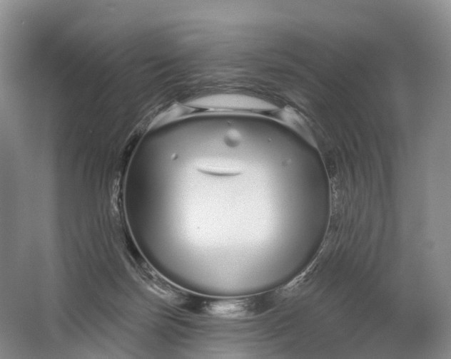 X0000064720171200602241653