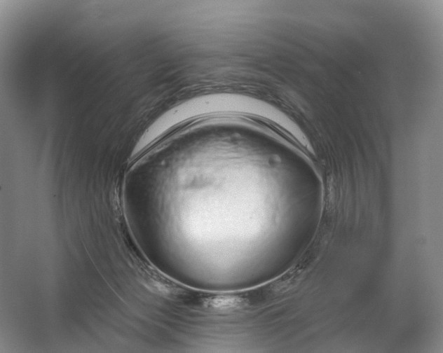 X0000064720173200602241653