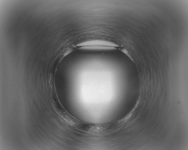 X0000064720174200602241653