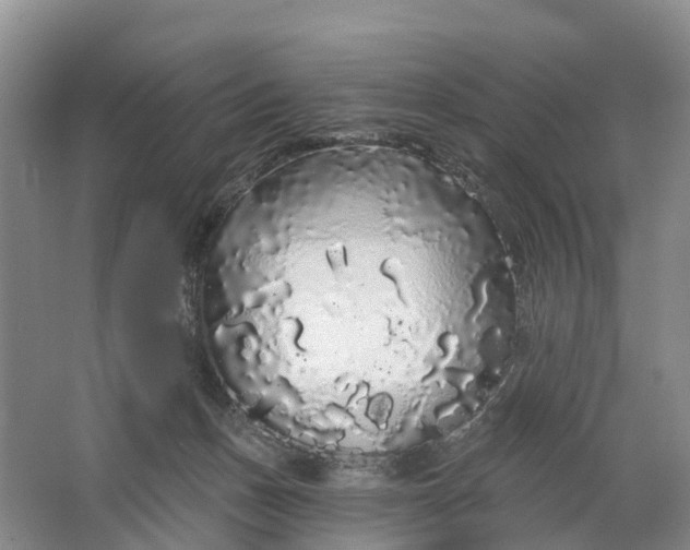 X0000064720175200602241653