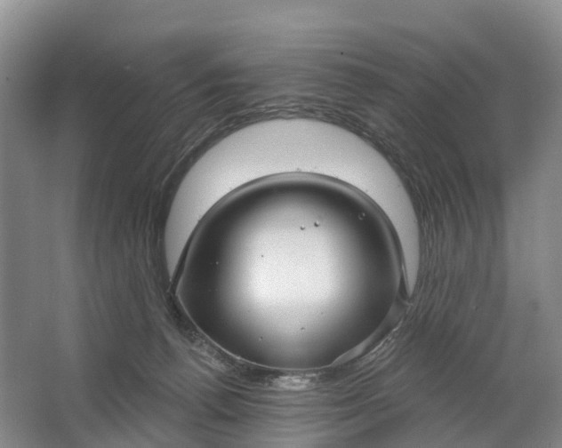 X0000064720176200602241653