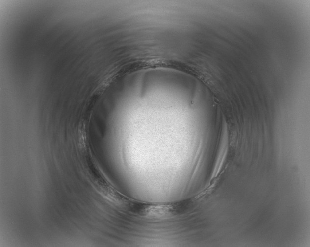 X0000064720179200602241653