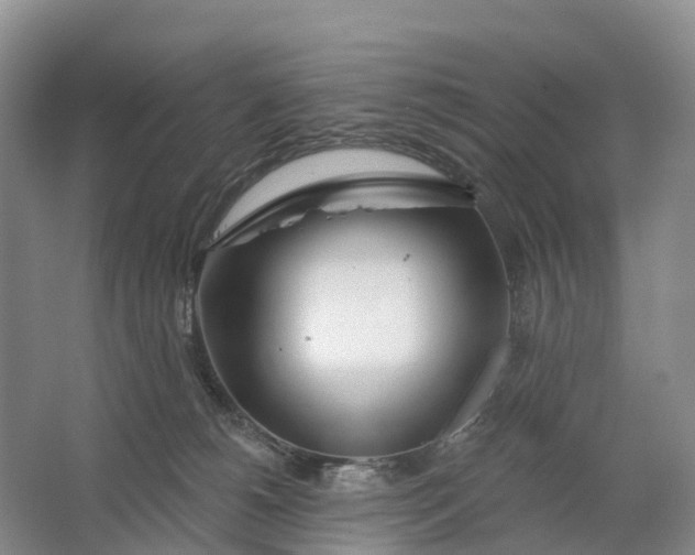 X0000064720180200602241653