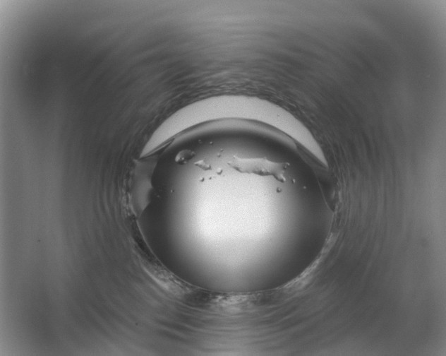 X0000064720186200602241653