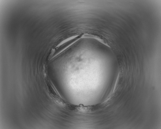 X0000064720187200602241654