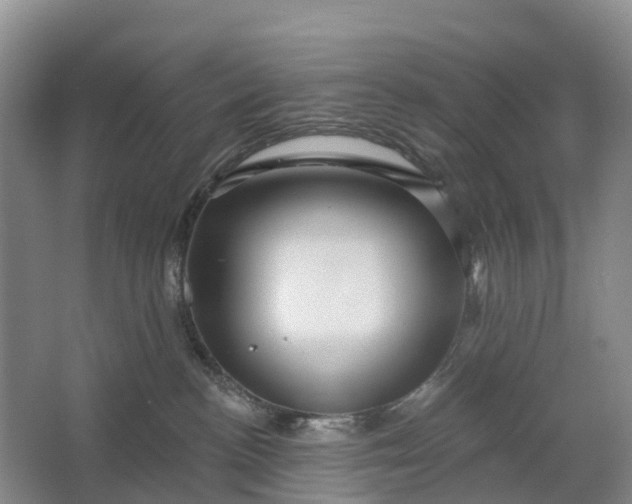 X0000064720188200602241654
