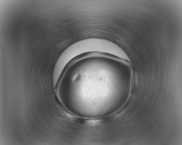 X0000064720189200602241654