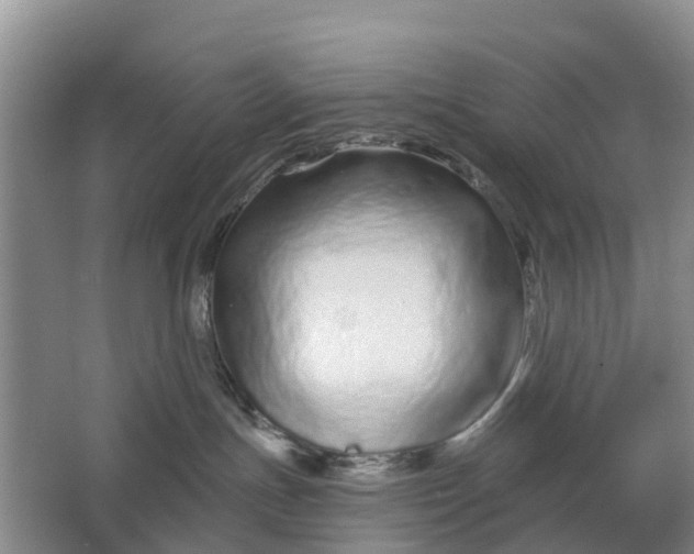 X0000064720191200602241654