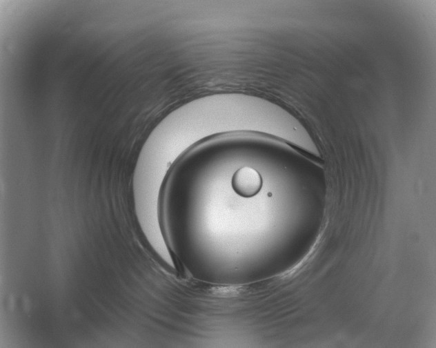 X0000064720192200602241654