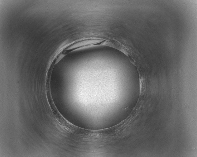 X0000064720195200602241652
