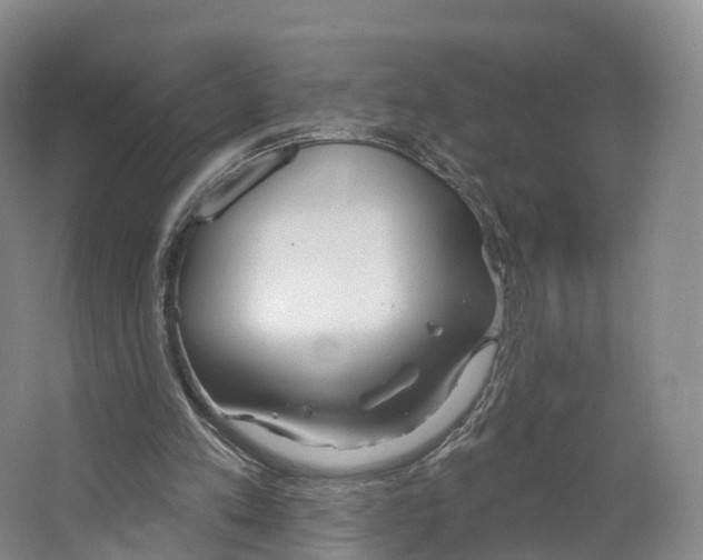 X0000064720197200602241652