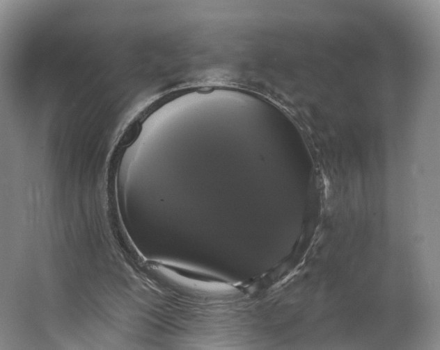 X0000064720200200602241652