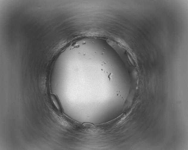 X0000064720201200602241652
