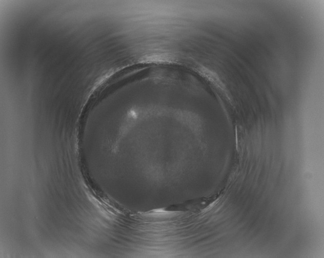 X0000064720204200602241652