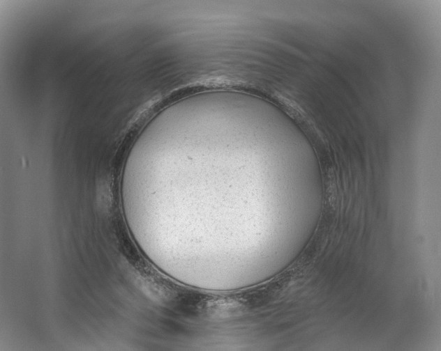 X0000064720208200602241652