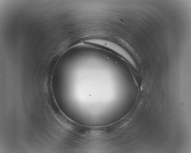 X0000064720209200602241652