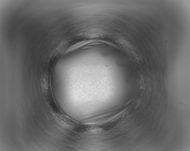 X0000064720210200602241652