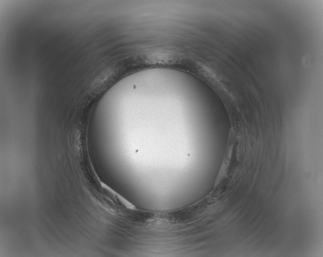 X0000064720211200602241652