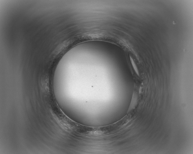 X0000064720212200602241652
