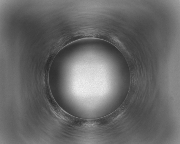X0000064720213200602241652