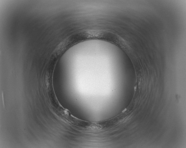 X0000064720215200602241652