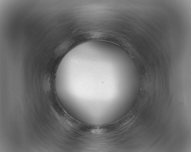 X0000064720216200602241652