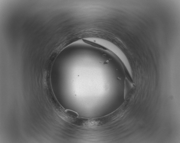 X0000064720217200602241652