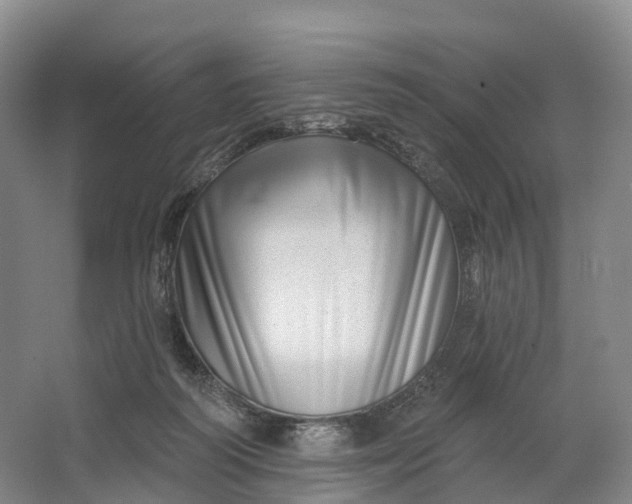 X0000064720218200602241652
